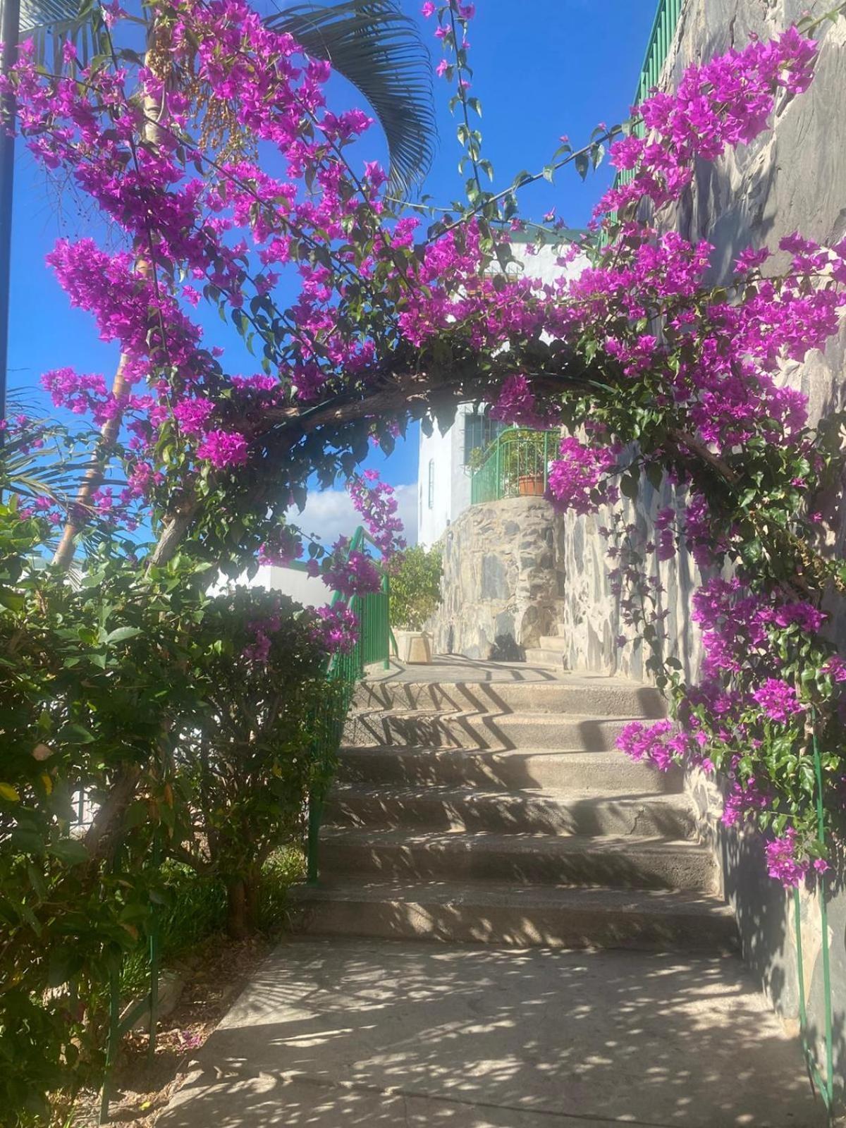 Sea View 2Br Toploctaion Heated Pool 5 Min To Beach San Agustín المظهر الخارجي الصورة
